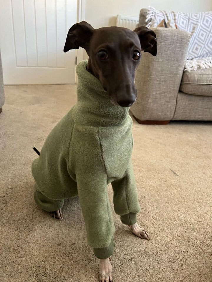 Load image into Gallery viewer, Fleece Lined Sweatshirt - Honey Yellow - Ashurst Equestrian &amp; Country
