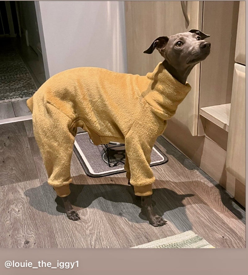 Load image into Gallery viewer, Fleece Lined Sweatshirt - Honey Yellow - Ashurst Equestrian &amp; Country
