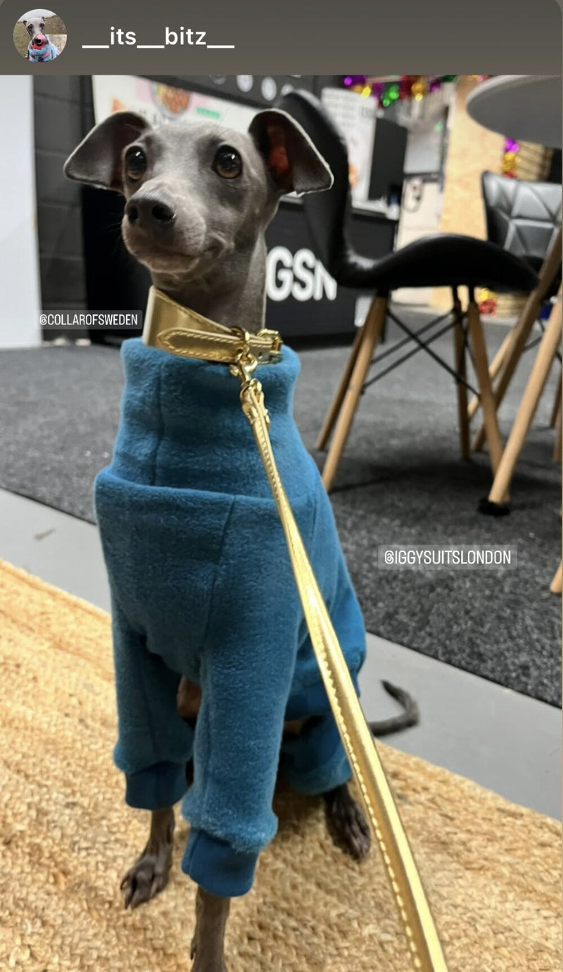 Load image into Gallery viewer, Fleece Lined Sweatshirt - Honey Yellow - Ashurst Equestrian &amp; Country
