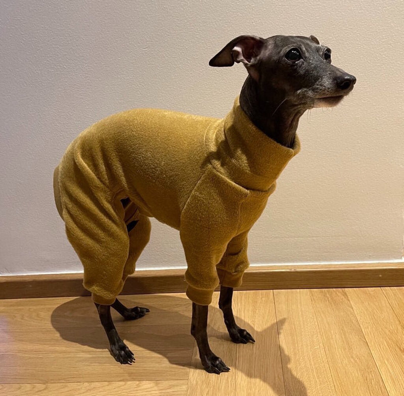 Load image into Gallery viewer, Fleece Lined Sweatshirt - Honey Yellow - Ashurst Equestrian &amp; Country
