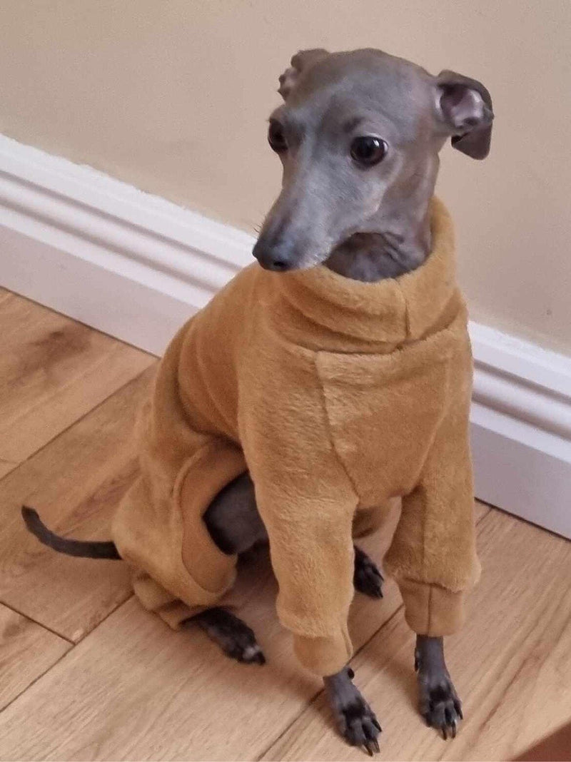 Load image into Gallery viewer, Fleece Lined Sweatshirt - Honey Yellow - Ashurst Equestrian &amp; Country
