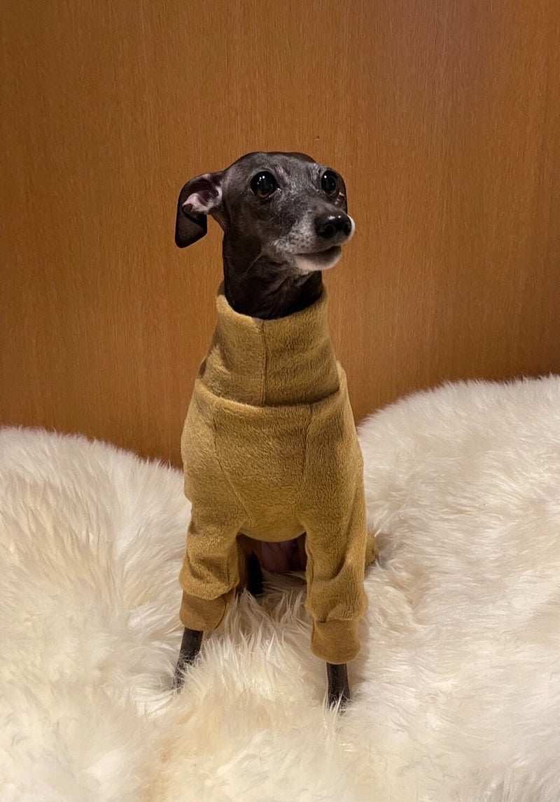 Load image into Gallery viewer, Fleece Lined Sweatshirt - Honey Yellow - Ashurst Equestrian &amp; Country
