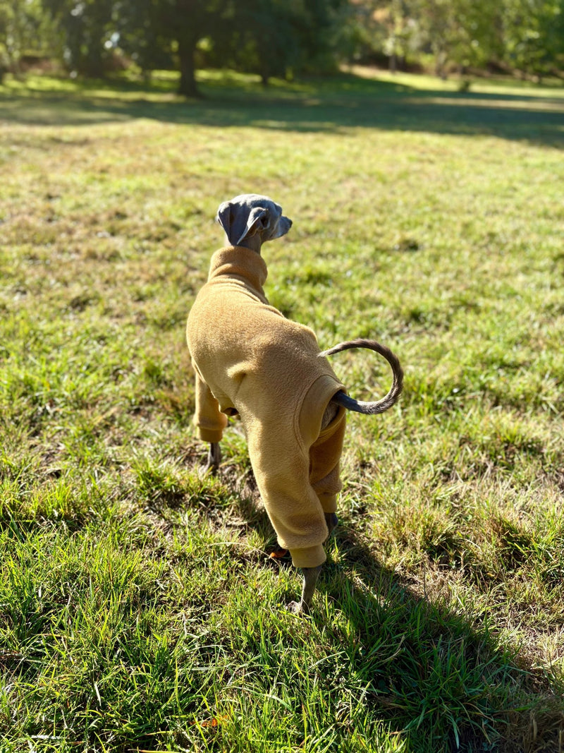 Load image into Gallery viewer, Fleece Lined Sweatshirt - Honey Yellow - Ashurst Equestrian &amp; Country
