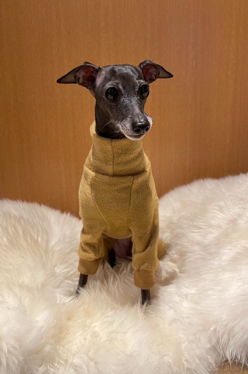 Load image into Gallery viewer, Fleece Lined Sweatshirt - Honey Yellow - Ashurst Equestrian &amp; Country
