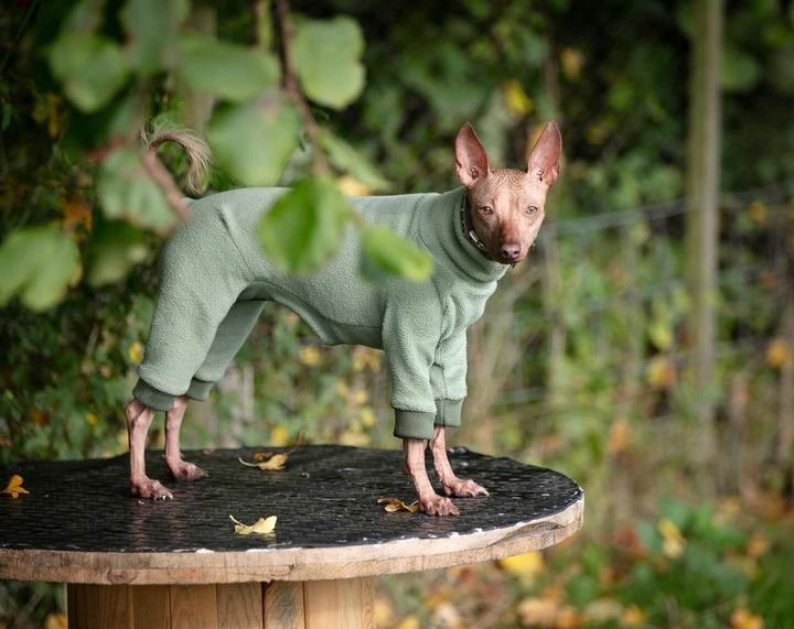 Load image into Gallery viewer, Fleece Lined Sweatshirt Suit - Stone - Ashurst Equestrian &amp; Country
