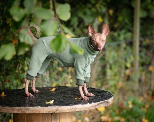 Fleece Lined Sweatshirt Suit - Stone - Ashurst Equestrian & Country