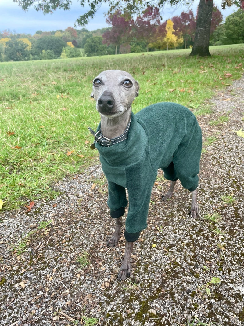 Load image into Gallery viewer, Fleece Lined Sweatshirt Suit - Stone - Ashurst Equestrian &amp; Country
