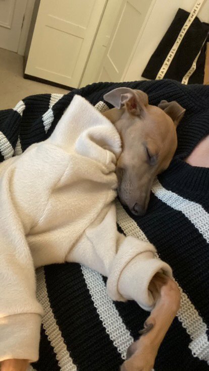 Load image into Gallery viewer, Fleece Lined Sweatshirt Suit - Stone - Ashurst Equestrian &amp; Country
