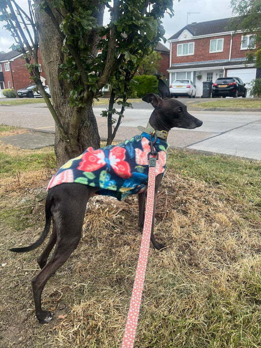 Fleece Vest - Blue & Orange - Ashurst Equestrian & Country