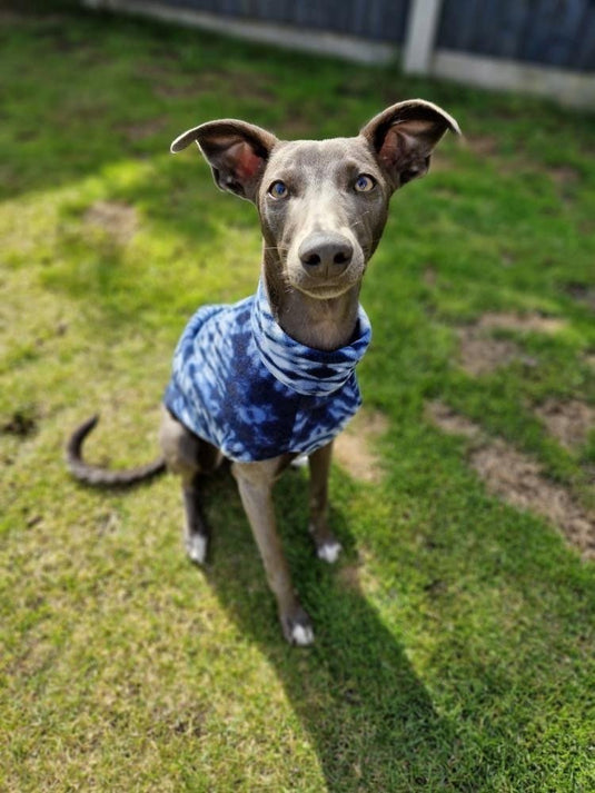 Fleece Vest - Blue & Orange - Ashurst Equestrian & Country