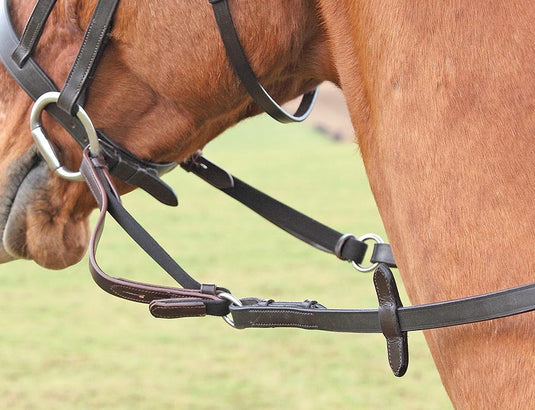 Flexi Rein® - Ashurst Equestrian & Country