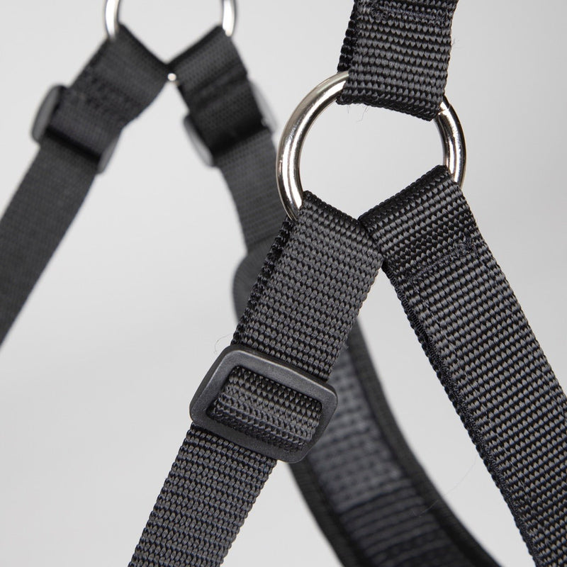 Load image into Gallery viewer, FreeGraze Comfort Grazing Muzzle - Ashurst Equestrian &amp; Country

