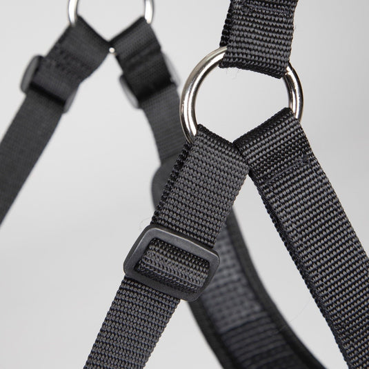 FreeGraze Comfort Grazing Muzzle - Ashurst Equestrian & Country