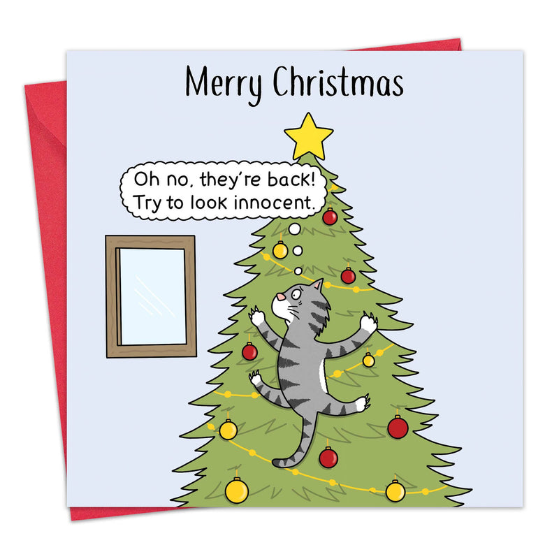 Load image into Gallery viewer, Funny Christmas Card - Innocent Cat - Ashurst Equestrian &amp; Country
