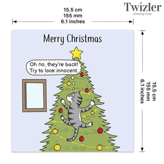 Funny Christmas Card - Innocent Cat - Ashurst Equestrian & Country