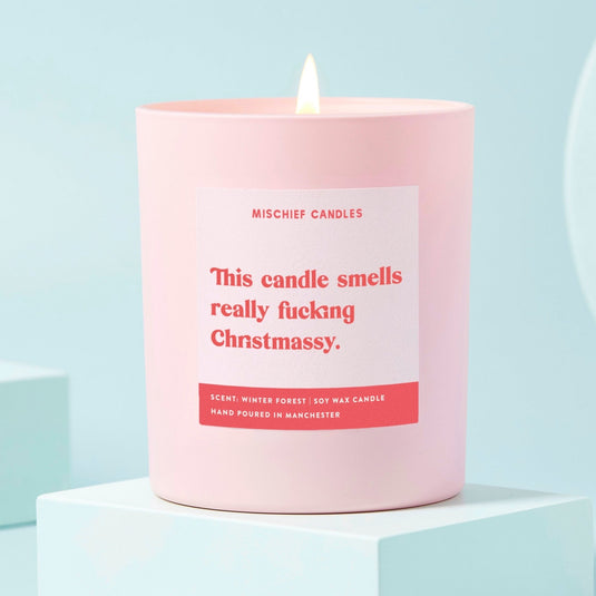 Funny Christmas Gift For Friend Stocking Filler Candle Smells Christmassy - Ashurst Equestrian & Country