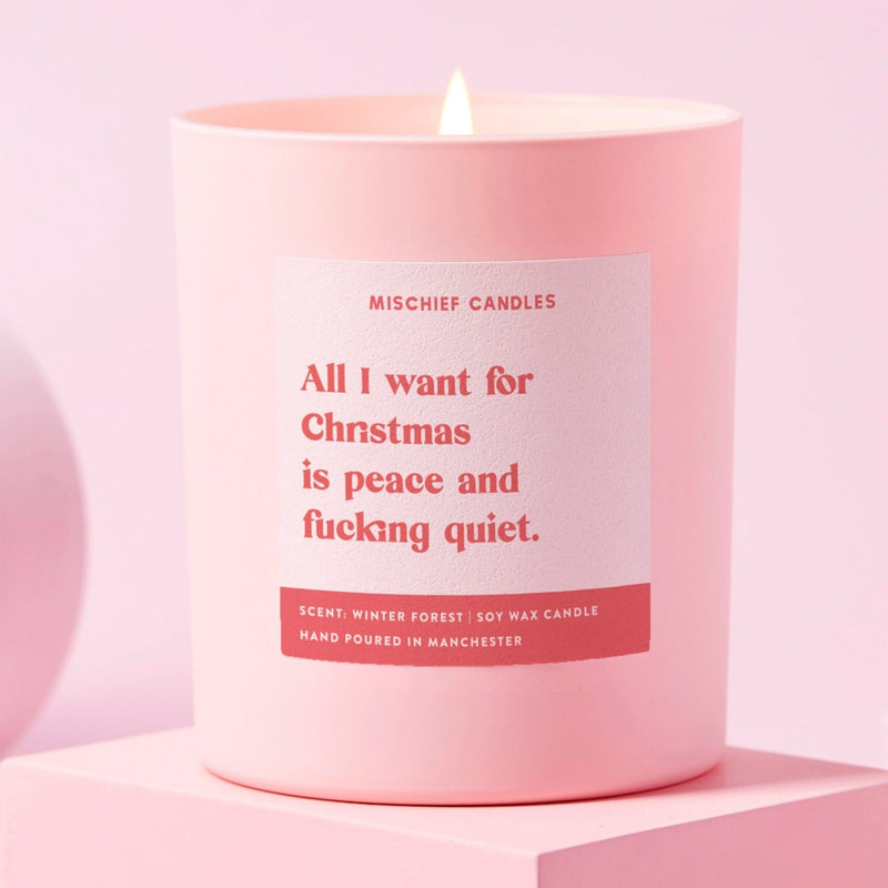 Load image into Gallery viewer, Funny Christmas Gift For Her Stocking Filler Candle Peace And Quiet - Ashurst Equestrian &amp; Country
