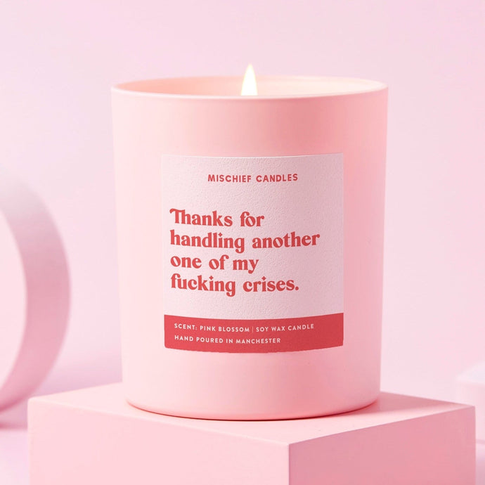 Funny Thank You Gift Soy Wax Candle Handling Another Crisis - Ashurst Equestrian & Country