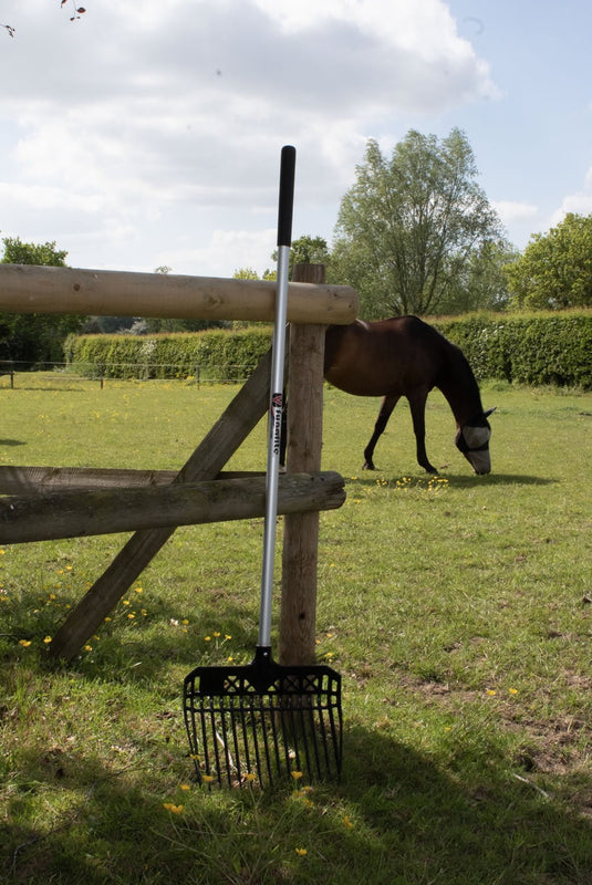 Fynalite Value Plastic Stable Fork Long Handle - Ashurst Equestrian & Country