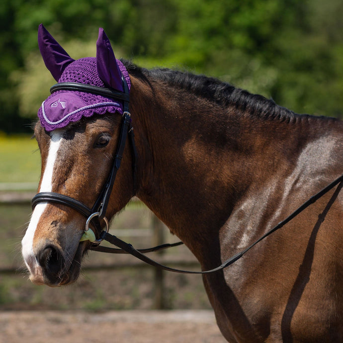 Gallop Classic Fly Veil Purple - Ashurst Equestrian & Country