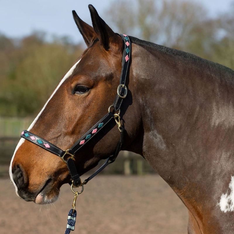 Load image into Gallery viewer, Gallop Diamond Padded Leather Headcollar Pink/Aqua - Ashurst Equestrian &amp; Country

