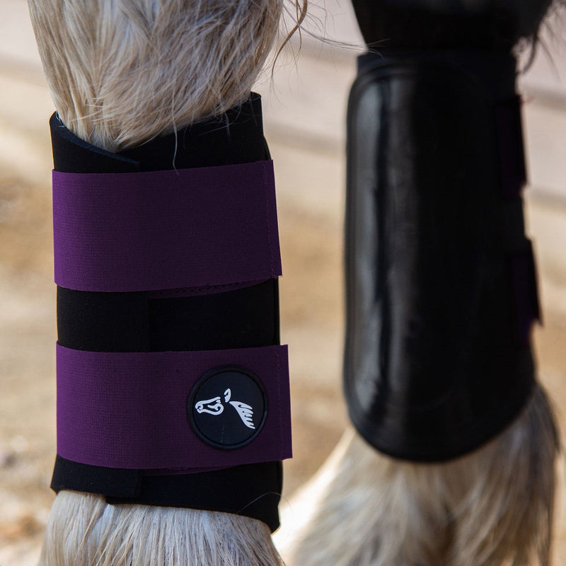 Load image into Gallery viewer, Gallop Gp Brushing Boots Purple - Ashurst Equestrian &amp; Country
