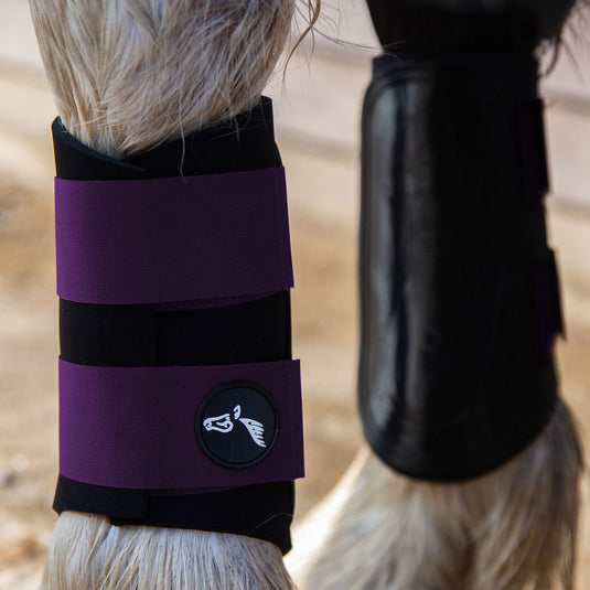 Gallop Gp Brushing Boots Purple - Ashurst Equestrian & Country