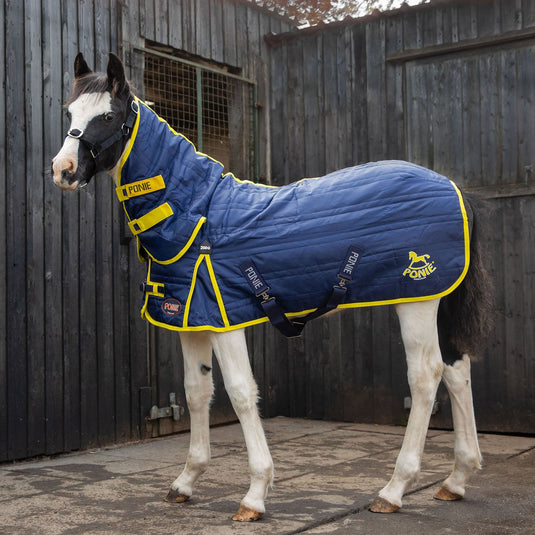 Gallop Ponie 200 G Stable Rug Combo Navy - Ashurst Equestrian & Country