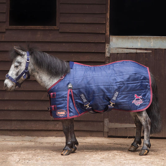 Gallop Ponie 50 G Stable Rug Navy - Ashurst Equestrian & Country