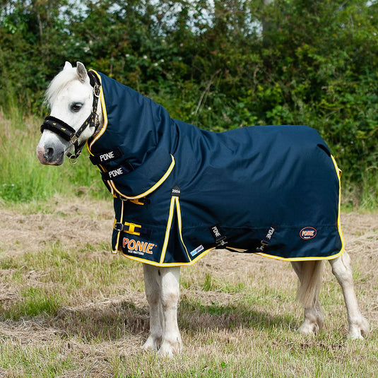 Gallop Ponie Duraproof 200 G Turnout Combo Navy - Ashurst Equestrian & Country