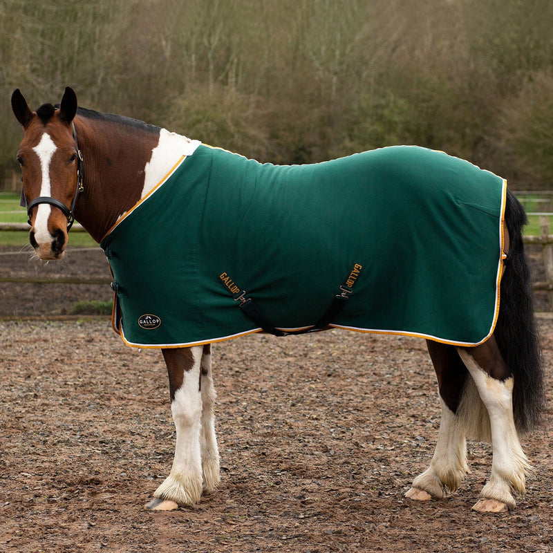 Load image into Gallery viewer, Gallop Premium Jersey Cooler Rug Green/White/Yellow - Ashurst Equestrian &amp; Country

