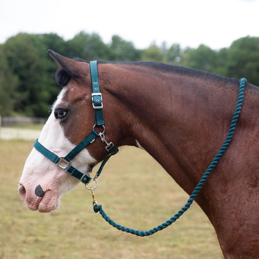 Gallop Premium Padded Headcollar With Lead Rope Green - Ashurst Equestrian & Country