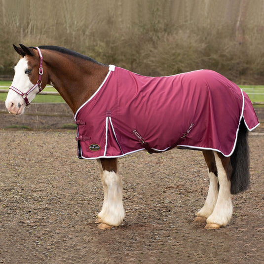 Gallop Summer Sheet Burgundy - Ashurst Equestrian & Country