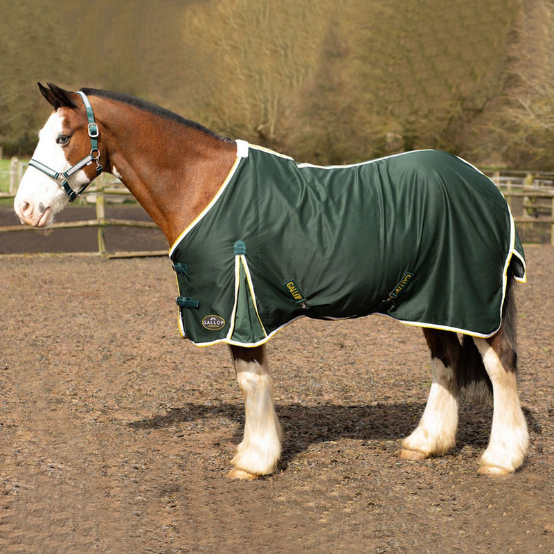 Load image into Gallery viewer, Gallop Summer Sheet Green - Ashurst Equestrian &amp; Country

