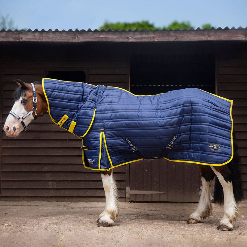 Load image into Gallery viewer, Gallop Trojan 200 G Stable Rug Combo Navy - Ashurst Equestrian &amp; Country
