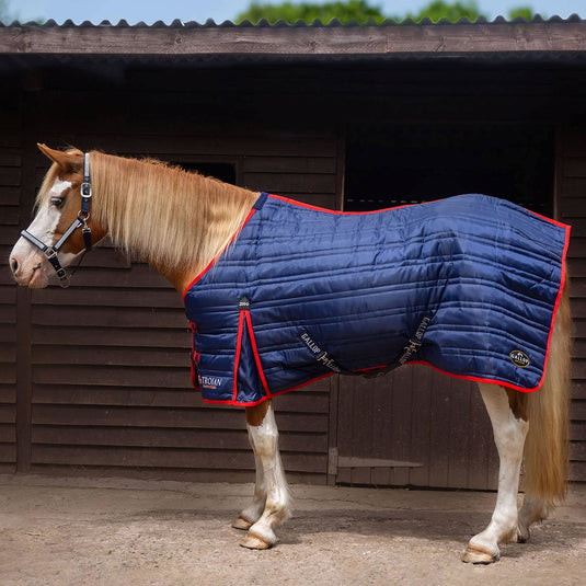Gallop Trojan 200 G Stable Rug Navy - Ashurst Equestrian & Country