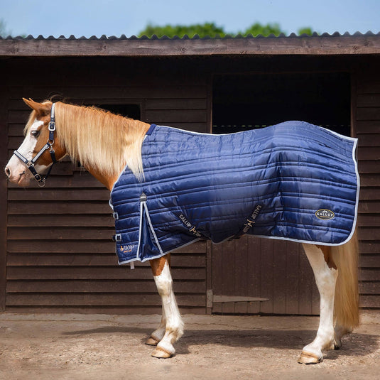 Gallop Trojan 300 G Stable Rug Navy - Ashurst Equestrian & Country