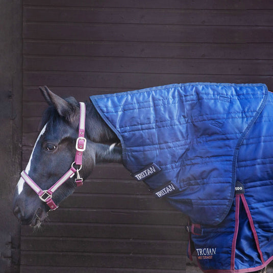Gallop Trojan 50 G Stable Neck Cover Navy - Ashurst Equestrian & Country