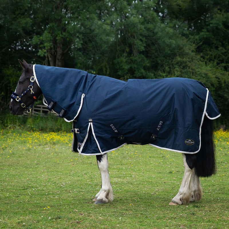 Load image into Gallery viewer, Gallop Trojan Duraproof 100 G Turnout Combo Navy - Ashurst Equestrian &amp; Country
