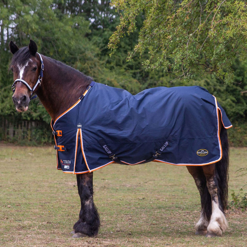 Load image into Gallery viewer, Gallop Trojan Duraproof 100 G Turnout Navy - Ashurst Equestrian &amp; Country
