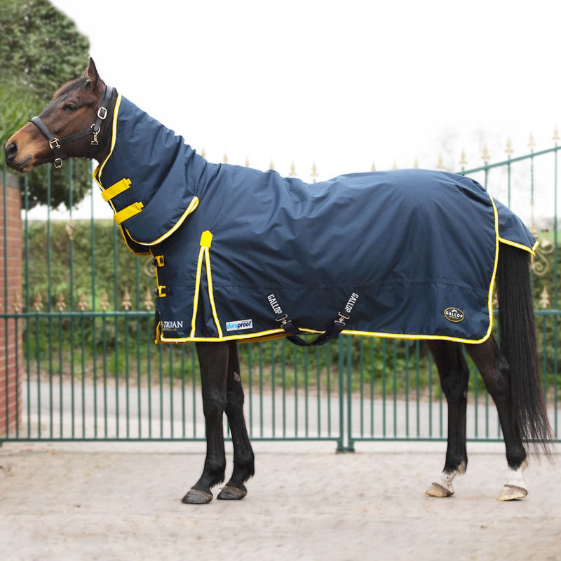 Load image into Gallery viewer, Gallop Trojan Duraproof 200 G Turnout Combo Navy - Ashurst Equestrian &amp; Country
