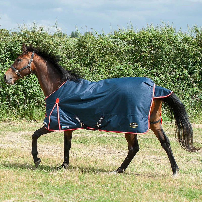 Load image into Gallery viewer, Gallop Trojan Duraproof 200 G Turnout Navy - Ashurst Equestrian &amp; Country
