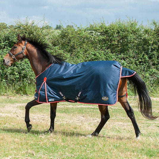 Gallop Trojan Duraproof 200 G Turnout Navy - Ashurst Equestrian & Country