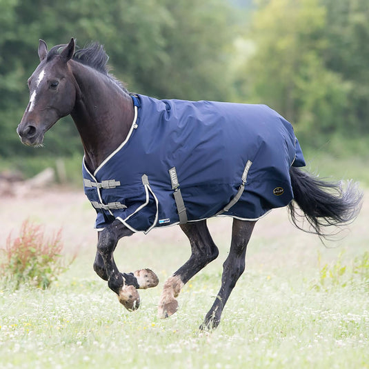 Gallop Trojan Duraproof 300 G Turnout Navy - Ashurst Equestrian & Country