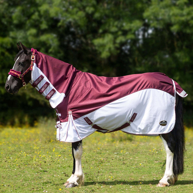 Load image into Gallery viewer, Gallop Trojan Xtra D/Proof Hybrid Combo Fly Rug Burg/White - Ashurst Equestrian &amp; Country
