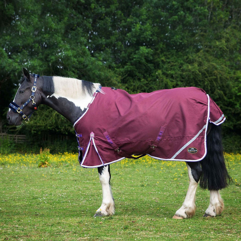 Load image into Gallery viewer, Gallop Trojan Xtra Duraproof 0 G Lightweight Turnout Burgundy - Ashurst Equestrian &amp; Country
