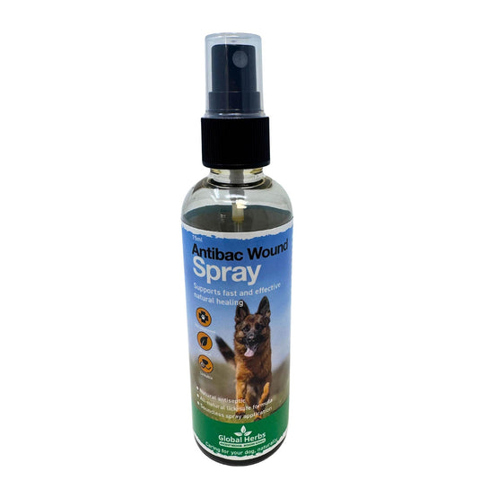 Global Herbs Canine Antibac Wound Spray - Ashurst Equestrian & Country