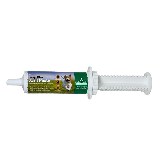 Global Herbs Canine Leap Plus Joint Paste - Ashurst Equestrian & Country