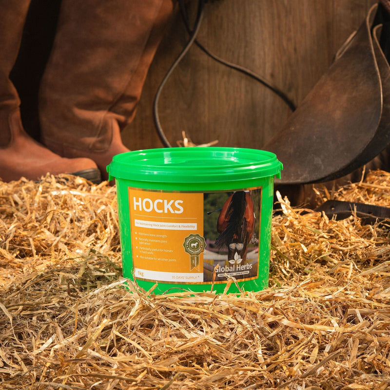 Load image into Gallery viewer, Global Herbs Hocks - Ashurst Equestrian &amp; Country
