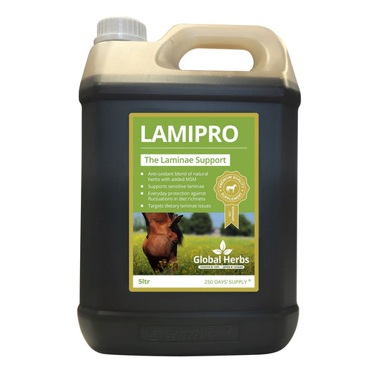 Global Herbs Lamipro Supplement - Ashurst Equestrian & Country
